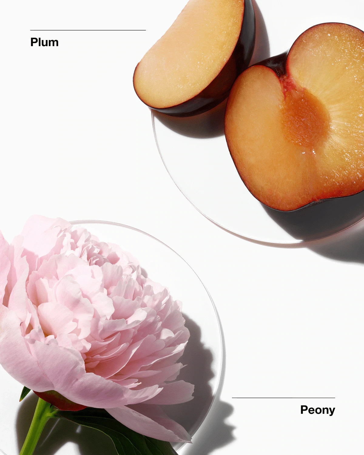Clinique My Happy™ Peony Picnic Fragrance - US 4772