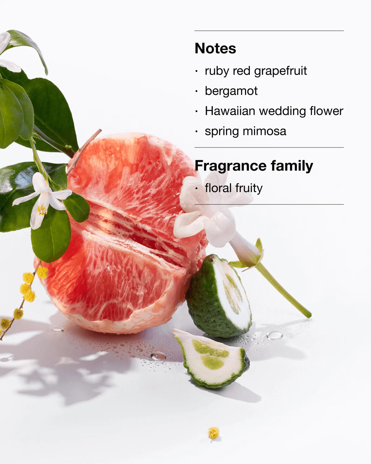 Our Most-Loved Fragrance + Moisturizer Bundle - US 7487