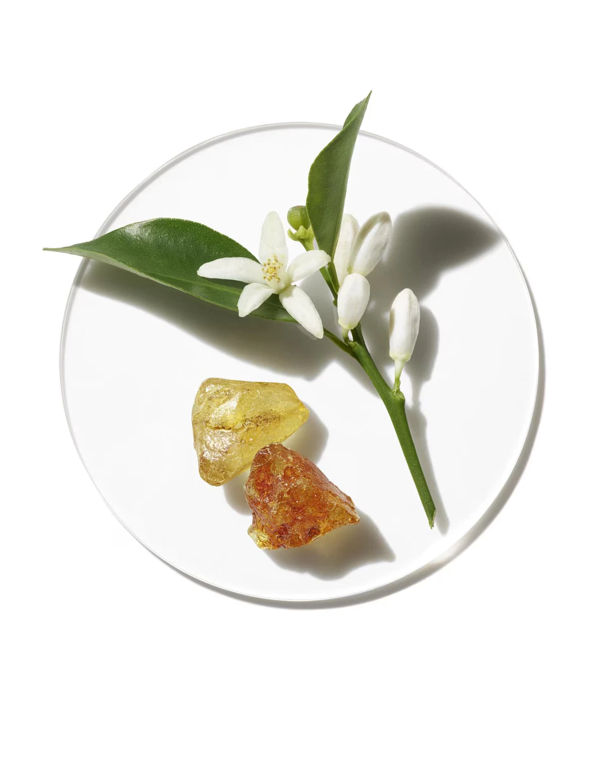 Aromatics in White Fragrance - US 8006