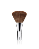 Bronzer/Blender Brush - US 8510