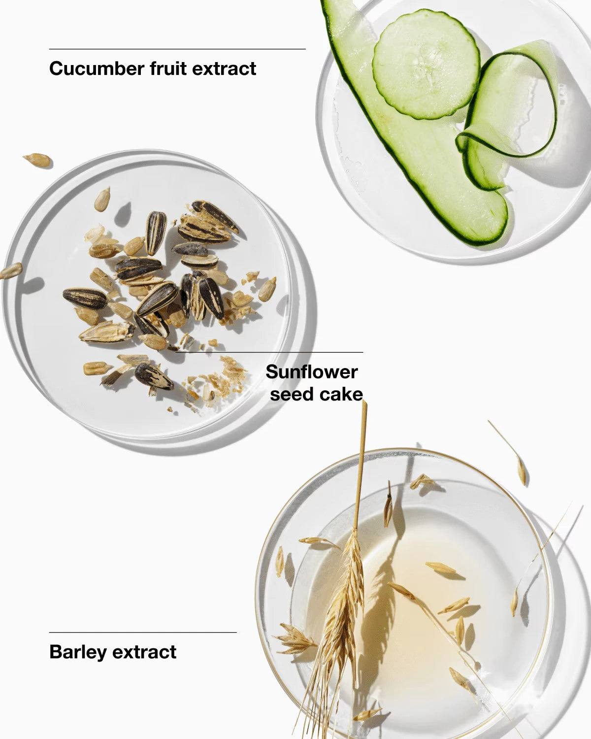 Healthy Skin Routine: Mini 3-Step Kit For Oily Skin - US 1579