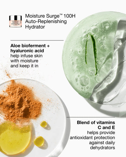 Moisture Surge Duo Set - US 9532