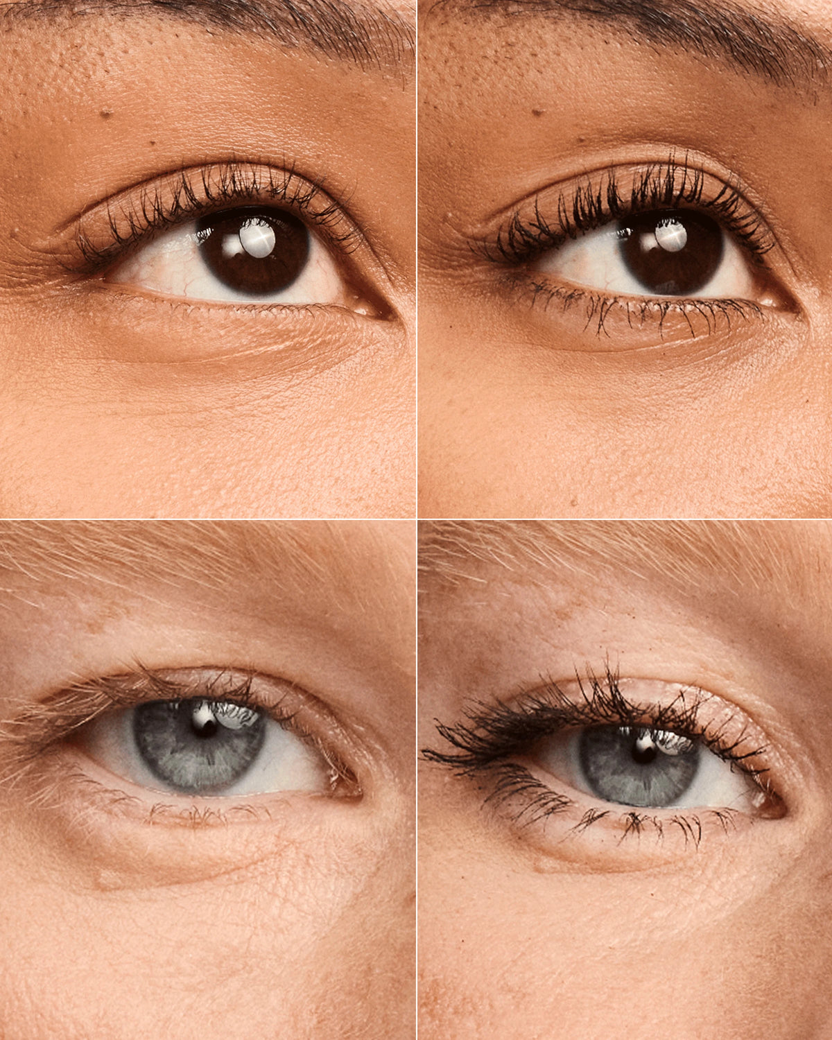 Bridal Eye Kit - US 3297