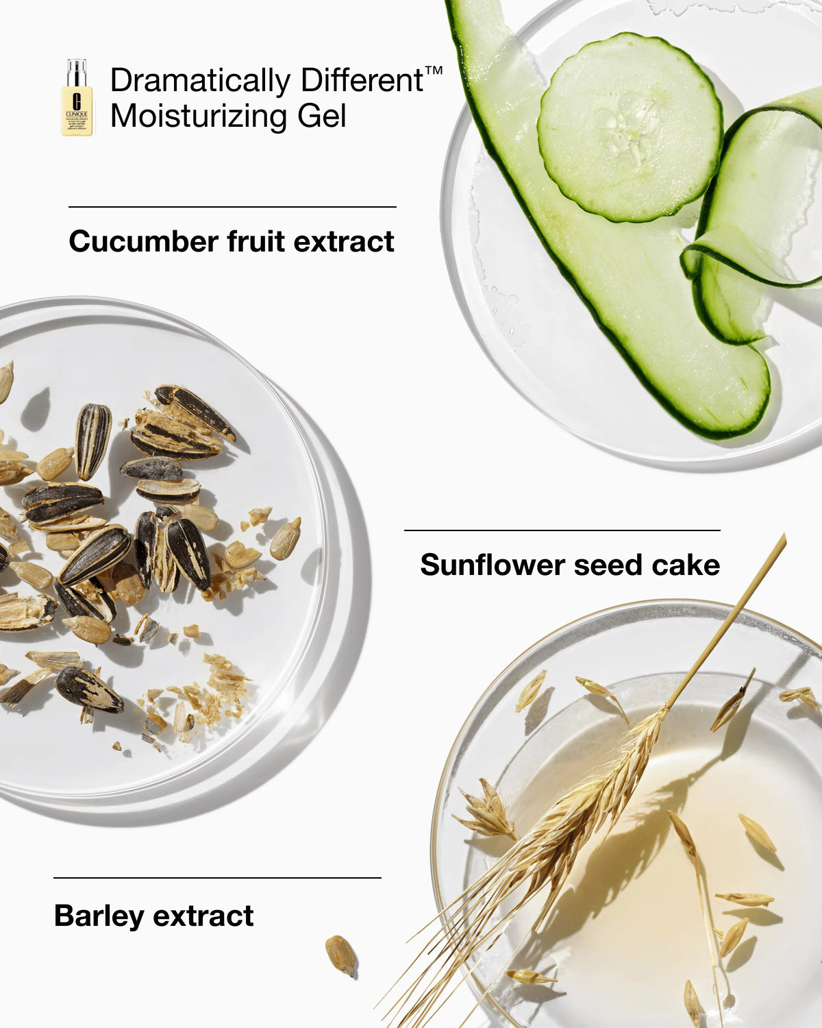 Great Skin Everywhere Set: For Combination Oily Skin - US 6252